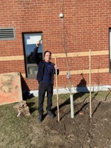Thank you Trustee Grella for our new tree!